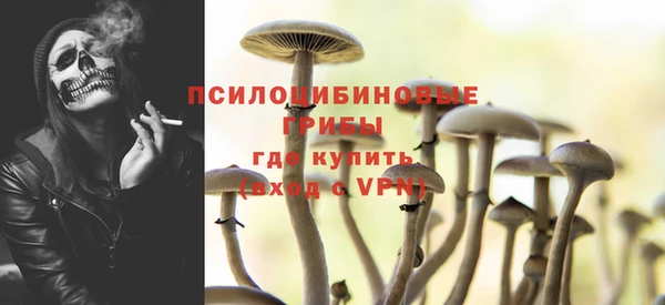 ГАЛЛЮЦИНОГЕННЫЕ ГРИБЫ Куйбышев